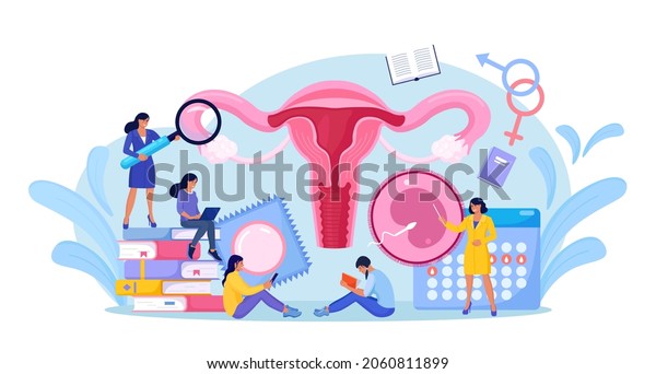 People are studying sex education. Human biology\
and anatomy lesson. Sexual health lesson for young people.\
Contraception and female reproductive system. Body internal organ.\
Sexuality and gender