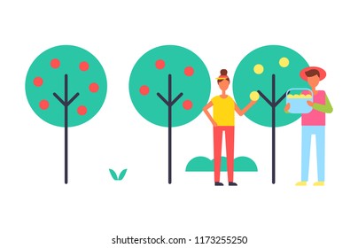 People taking care about trees vector icon. Adults shapes working in garden, couple in sportswear plucking fruit into basket, cartoon style badges