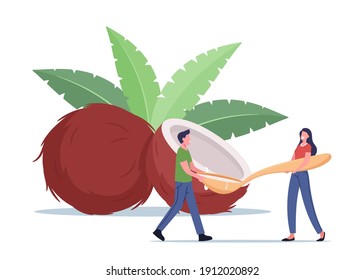People Use Coconut Oil Concept. Tiny Male and Female Characters with Huge Spoon near Coco Nut with Green Leaves. Cooking Natural Ingredient, Exotic Tropical Fruit. Cartoon People Vector Illustration