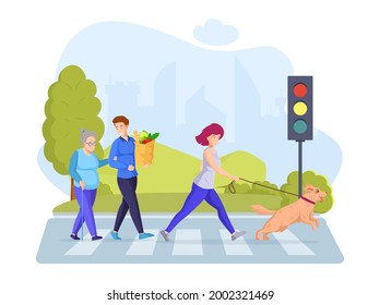 People walking on crosswalk crossing avenue road with traffic light. Pedestrians going at cityscape. Volunteer male help elderly woman, female with dog crosses road at pedestrian crossing vector