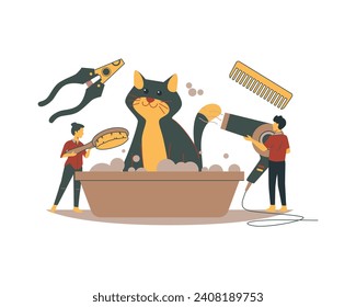 people washing a cat in a tub with a comb and hair dryer for animal and pet Pet adoption and fostering