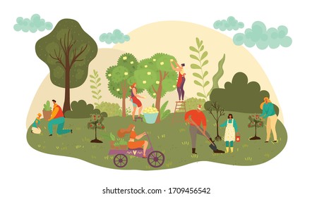 People work at autumn garden harvesting fruits crop and agriculture farming flat vector illustration. Farmers harvest fall fruits. People workers pick apples from trees in garden, caring for plants.