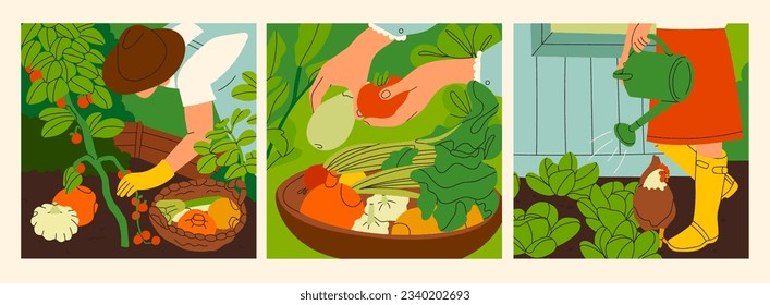 People work in the garden or farm. Set of three Hand drawn Vector illustrations. Harvesting, horticulture, gardening, seasonal agricultural work concept. Poster, print, design template