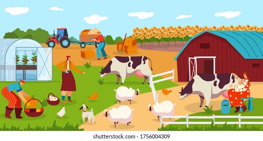 People work on farm, animals cartoon characters, woman milking cow, field harvest vector illustration. Farmers rural lifestyle, agricultural farmland workers, livestock cattle and vegetable greenhouse