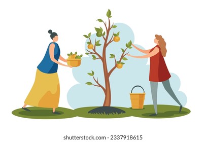 Personas trabajando en el jardín. Mujeres recogiendo manzanas de un árbol en el jardín. Personajes de los trabajadores sostienen cestas y baldes y recogen fruta en tierras de cultivo. Trabajo estacional, vector alimentario sano y orgánico