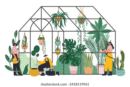 People working in planting greenhouse, glass orangery, botanical garden greenhouse. Vector of watering organic plants by people, agriculture and gardening illustration