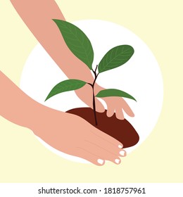 People's hands protect the young seeds on the ground for the survival of our common earth