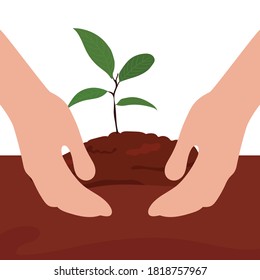 People's hands protect the young seeds on the ground for the survival of our common earth