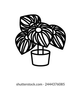 Peperomia icon in vector. Logotype