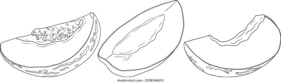 Pepino, melão, Solanum muricatum. Ilustração de linha desenhada à mão vetorial. Fruta de pimenta inteira, cortada ao meio, fatias.	