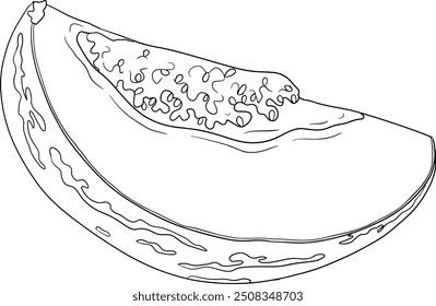 Pepino, melão, Solanum muricatum. Ilustração de linha desenhada à mão vetorial. Fruta de pimenta inteira, cortada ao meio, fatias.	