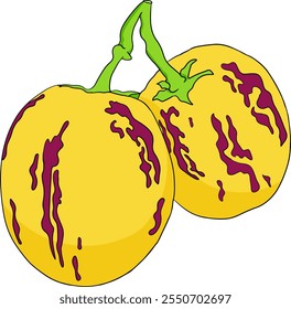 Pepino, melão, Solanum muricatum. Ilustração colorida desenhada à mão do vetor. Fruta de pimenta inteira, cortada ao meio, fatias.	
