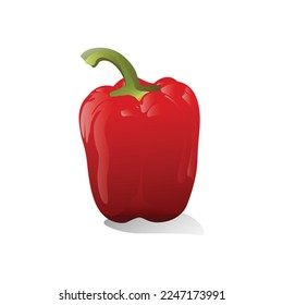 Pepper 3D vector illustration. Fresh vegetable. Isolated on white background