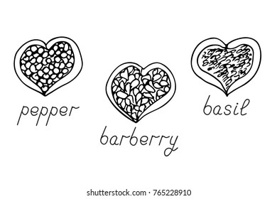 Pepper, barberry, basil spice in a heart shape bowl with labels. Spices set. Hand drawn sketch