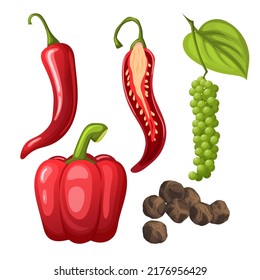 pepper black chili set cartoon vector spicy hot food, paprica spice, cayenne, mexican chili color illustration