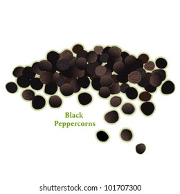 Pepper, Black. Dried peppercorns, a universal spice for cooking and world cuisines. Classic ingredient of French herb blend, Bouquet garni. See other herbs, spices in this series.  EPS8 compatible.
