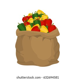 Pepper Burlap bag. sack of vegetables. big crop on farm. sackful Bulgarian pepper

