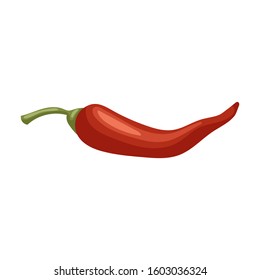 Pepper chili vector icon.Cartoon vector icon isolated on white background pepper chili .