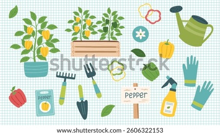 Pepper cliparts isolated on checkered background. Pepper vegetable. Gardening concept. Pepper and equipment for planting vegetables. Vector hand drawn illustration.