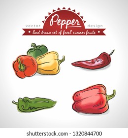 Pepper Collection of fresh vegetables with leaf. Vector illustration. Isolated