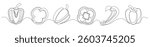 Pepper continuous one line drawing set isolated on a white background. Horizontal banner. Outline bell pepper vegetable collections. Vector illustration