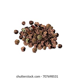 Pepper corn on white background. Vector illustration