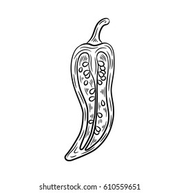 Pepper drawing. Isolated on white background. Hand drawn in a graphic style. Detailed vegetarian food. Great for menu, label, poster, print.