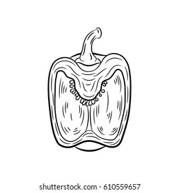 Pepper drawing. Isolated on white background. Hand drawn in a graphic style. Detailed vegetarian food. Great for menu, label, poster, print.