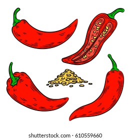 Pepper drawing. Isolated on white background. Hand drawn in a graphic style. Detailed vegetarian food. Great for menu, label, poster, print.