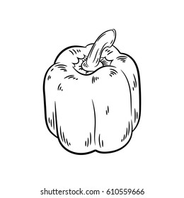 Pepper drawing. Isolated on white background. Hand drawn in a graphic style. Detailed vegetarian food. Great for menu, label, poster, print.