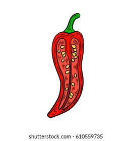 Pepper drawing. Isolated on white background. Hand drawn in a graphic style. Detailed vegetarian food. Great for menu, label, poster, print.