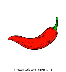 Pepper drawing. Isolated on white background. Hand drawn in a graphic style. Detailed vegetarian food. Great for menu, label, poster, print.
