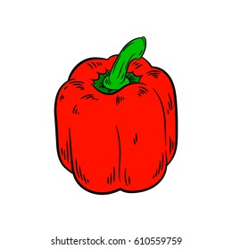 Pepper drawing. Isolated on white background. Hand drawn in a graphic style. Detailed vegetarian food. Great for menu, label, poster, print.