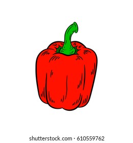 Pepper drawing. Isolated on white background. Hand drawn in a graphic style. Detailed vegetarian food. Great for menu, label, poster, print.