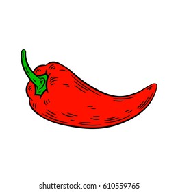 Pepper drawing. Isolated on white background. Hand drawn in a graphic style. Detailed vegetarian food. Great for menu, label, poster, print.
