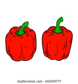 Pepper drawing. Isolated on white background. Hand drawn in a graphic style. Detailed vegetarian food. Great for menu, label, poster, print.