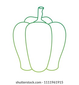 pepper fresh isolated icon