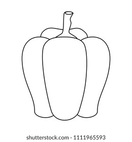 pepper fresh isolated icon