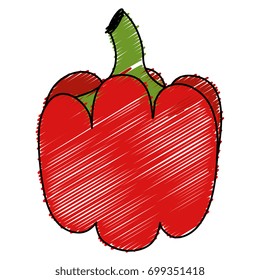 pepper fresh isolated icon