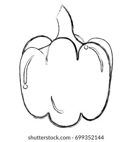 pepper fresh isolated icon