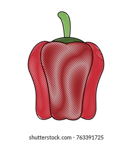 Pepper fresh vegetable