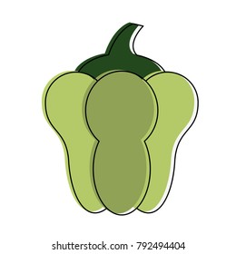 Pepper fresh vegetable