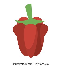 Pepper fresh vegetable cartoon isolated vector illustration graphic design