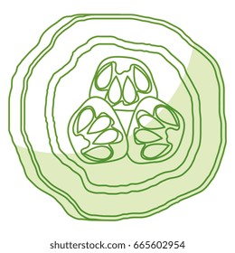 pepper fresh vegetable icon
