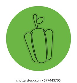 pepper fresh vegetable icon