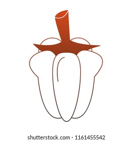 Pepper fresh vegetable red lines
