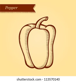 Pepper, fresh vegetables. Retro style. Easily editable vector. Vegetable on the yellow retro background. Isolated vector.