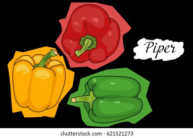 pepper green, red, yellow from different angles. great for menu. useful vegetables. vegetarianism. Vector illustration with white background. the drawing hands. Piper annuum