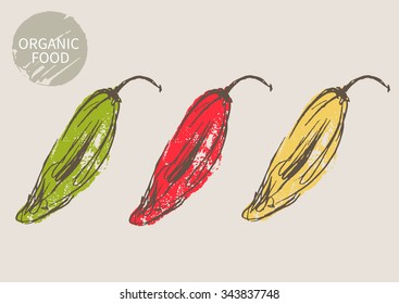 pepper hand draw sketch, vector