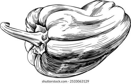Pfeffer, handgezeichnet. Schwarz-weiß gravierte Tintenkunst. Isolierte Paprika-Illustration auf weißem Hintergrund.